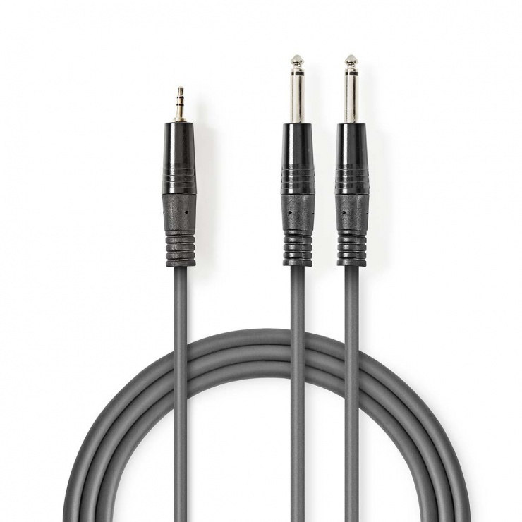 Imagine Cablu audio 2 x jack stereo 6.35mm la jack 3.5mm T-T 1.5m, COTH23200GY15