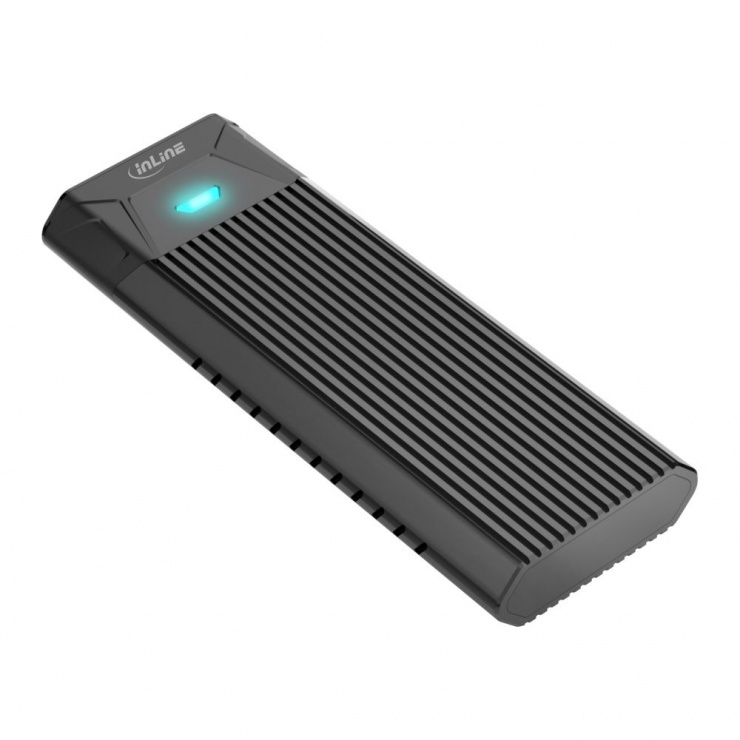 Imagine Rack extern USB 3.2 Gen2 type C la M.2 SSD (PCIe NVMe & SATA), InLine 00031H